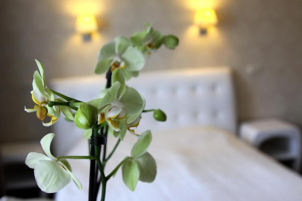 Hotel Felicia Ρίγα Εξωτερικό φωτογραφία